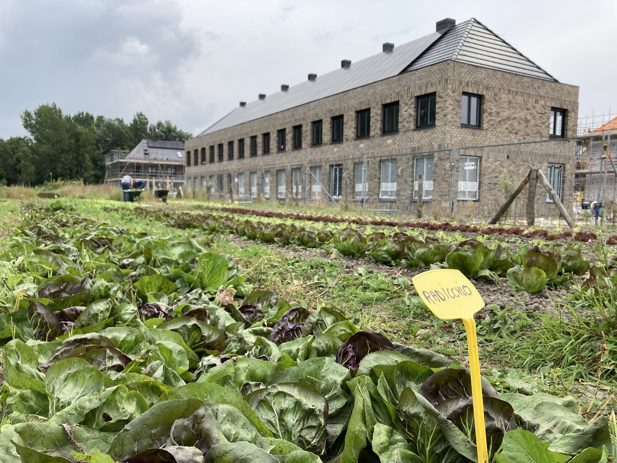 wickevoort bouw